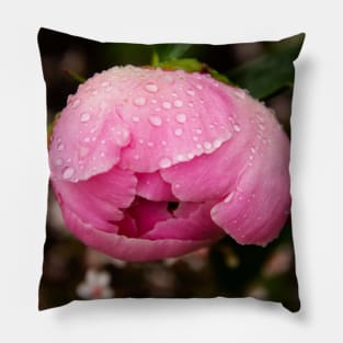 fresh pink bud of a garden peony Pillow