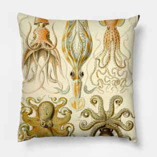 Squid and Octopus Gamochonia by Ernst Haeckel Pillow