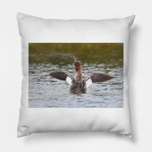 Common Merganser shakes it off Pillow