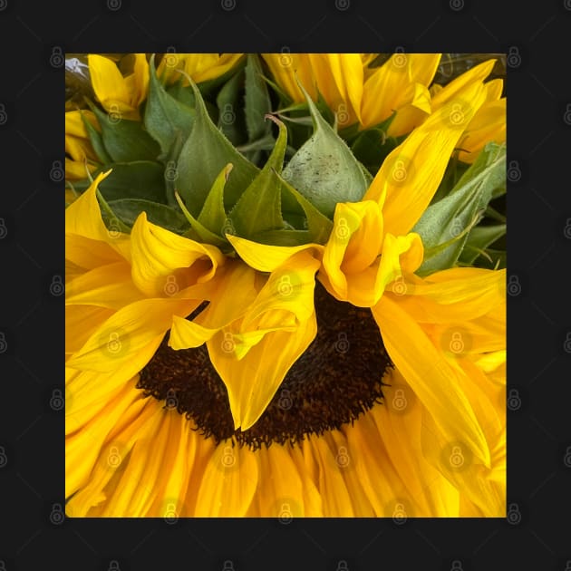 Sunflowers for Peace by Photomersion