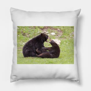 Black bears playing Pillow