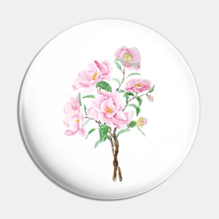 pink camellia  flowers  watercolor painting Pin