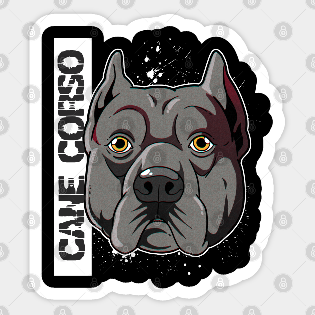 Awesome Italian Mastiff Gift Italian Mastiff Cane Corso Product Mastiff Sticker Teepublic