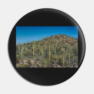 Saguaro National Park Tucson Pin