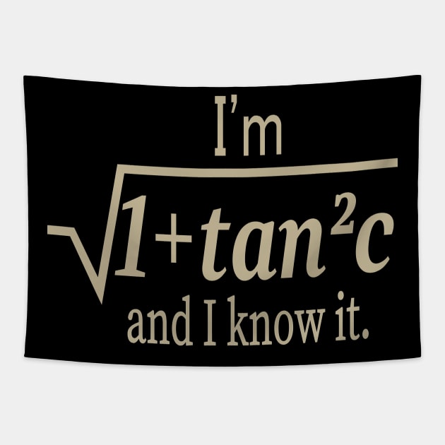 I'm Sqrt[1 + tan2 (c)] And I Know It Funny Math Tapestry by l designs