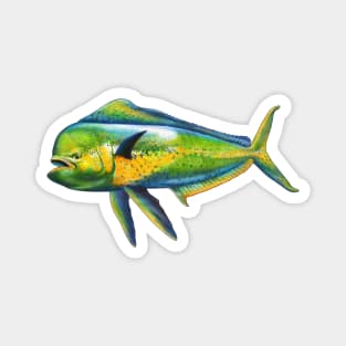 Mahi Mahi Magnet