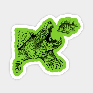 Snapping Turtle - green background Magnet