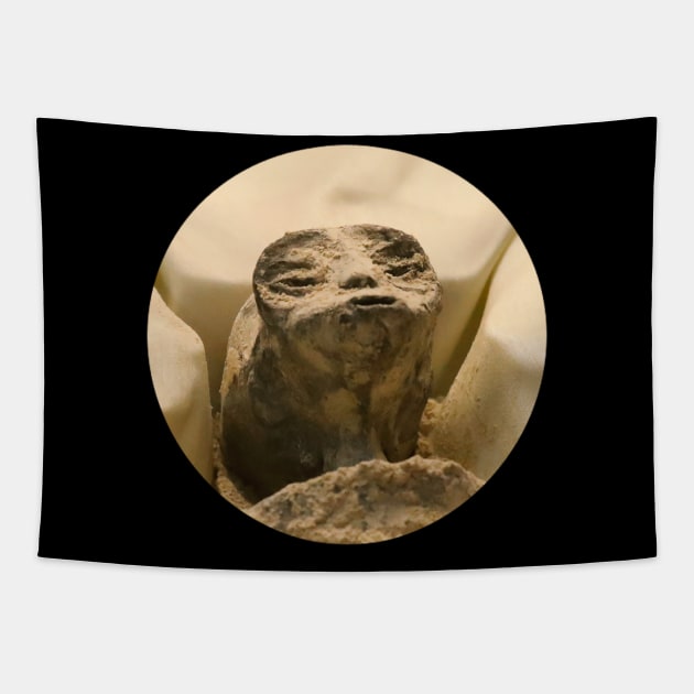 Mexican Alien Corpse Tapestry by Sanworld