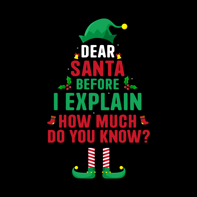Dear Santa I Can Explain Funny Christmas Pajama Adults Kids by _So who go sayit_