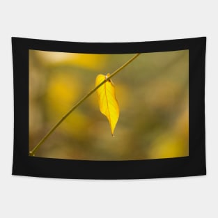 Yellow Tapestry