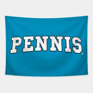 Pennis College Design Tapestry