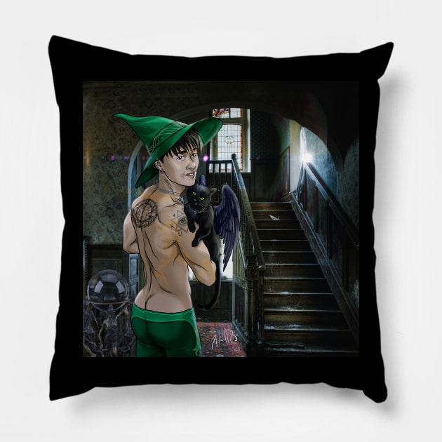 House witch Pillow by JoeBoy101