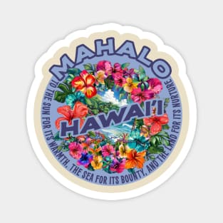 Hawaii Magnet