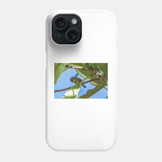 Japanese white-eye Honolulu Phone Case by KensLensDesigns