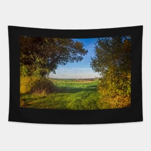 A Gap In The Hedgerow Tapestry