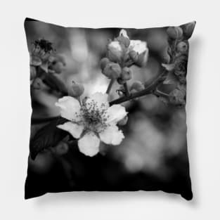 Blackberry flower black and white Pillow