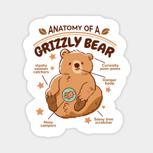 Anatomy Of A Lion Funny Cute Lion Design Magnet