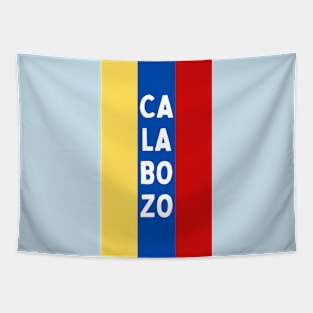 Calabozo City in Venezuelan Flag Colors Vertical Tapestry