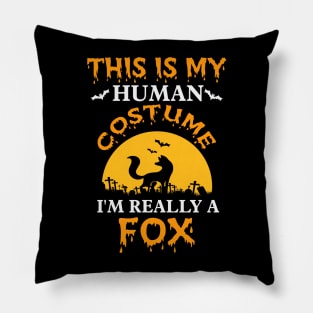 This is my Human Costume I am really a Fox Pillow