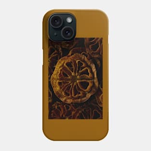 Old Rusty Cranks Phone Case