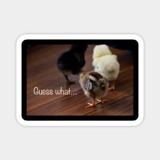 Guess what… Chicken butt! Magnet