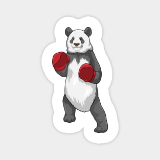 Panda as Boxer with Boxing gloves Magnet