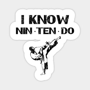 I Know Nin Ten Do Magnet