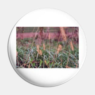 Autumn Prairie Grass Pin