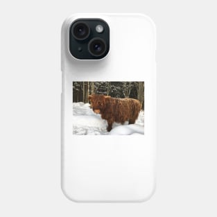 Scottish Highland Cattle Calf 1645 Phone Case