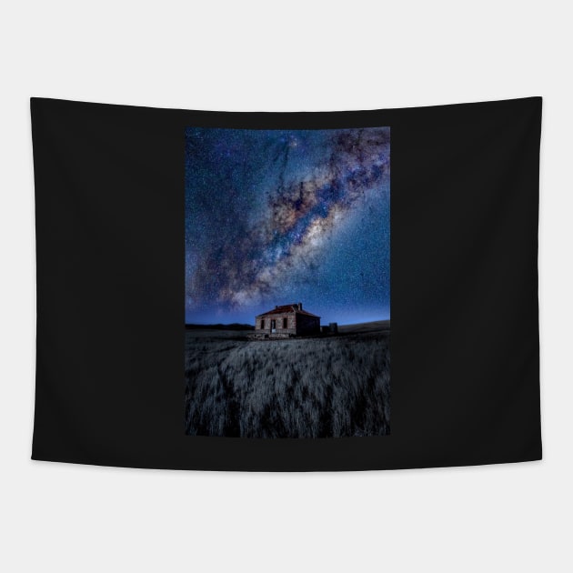 Midnight Oil Sky Tapestry by PLANTONE