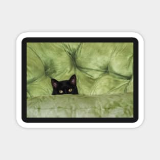 Green-Eyed Girl On Papason Chair Magnet