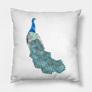 Peacock Marbled Paper Collage Pillow