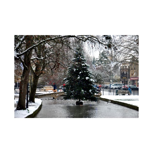 Bourton on the Water Christmas Tree Cotswolds by AndyEvansPhotos