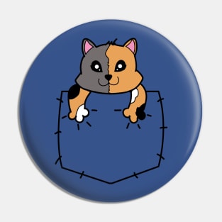 Pocket Cat Pin