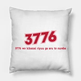 3776 Pillow