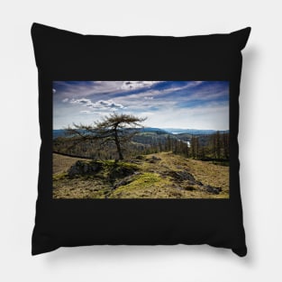 Coniston Water From Arnside Pillow