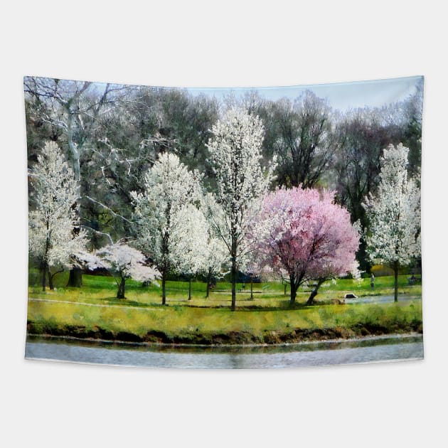 Spring - Line of Flowering Trees Tapestry by SusanSavad