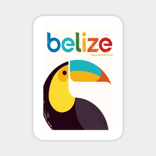 Belize, The Toucan, Travel Poster Magnet