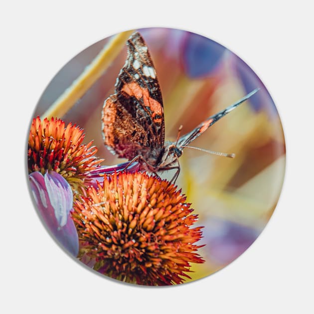 Lovely Monarch Butterfly Photograph Pin by love-fi