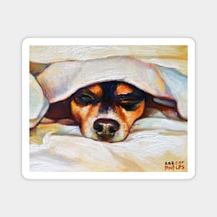 Cute Snuggle Sleeping Chihuahua by Robert Phelps Magnet