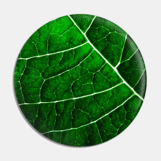 LEAF STRUCTURE GREENERY no2 Pin by PiaS