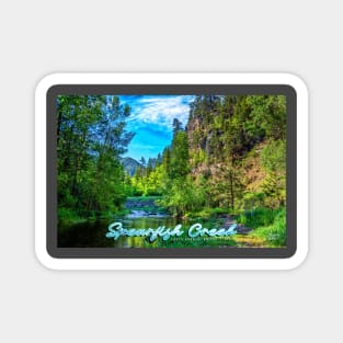 Spearfish Creek in the Black Hills Magnet