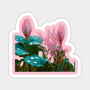 Vibrant Pink Flowers with Pointed Petals Magnet