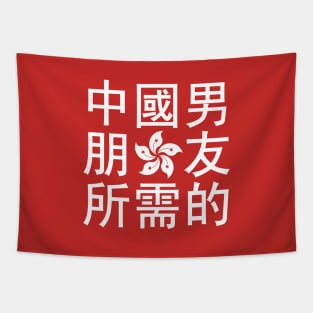 Looking for a Chinese Boyfriend (HK Edition) Tapestry