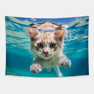 Cat Pet Animal Fun Playing Water Outdoor Tapestry