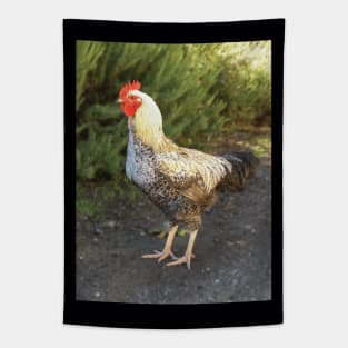 Rooster Tapestry