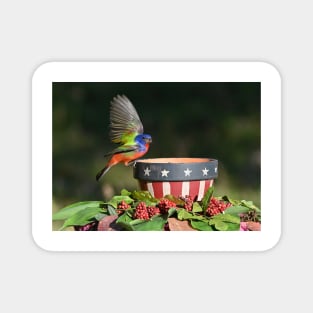 Painted Bunting Bird Saluting the American Flag Bowl Magnet