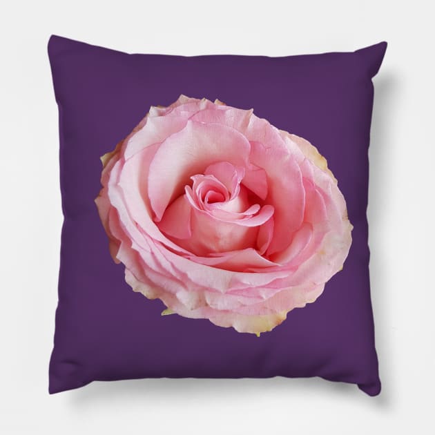 Pink Rose Floral Photo Cutout Pillow by ellenhenryart