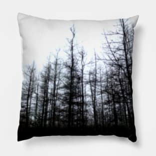 Naked Trees Pillow