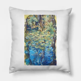 Koolanbung Creek Pillow